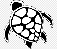 Gambar hitam putih kura kura untuk di warnai foto gambar gif. Penyu Laut Hawaii Tortoide Hewan Monokrom Tempurung Kura Kura Png Pngwing