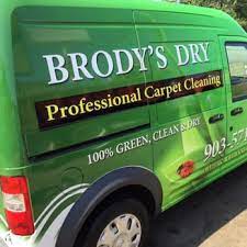dry professional carpet cleaning