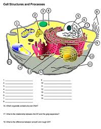 Prokaryote coloring x prokaryote coloring pixel type jpg download. Label The Parts Of The Plant And Animal Cell