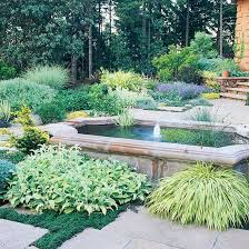 11 Drought Tolerant Landscaping Ideas