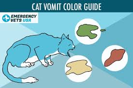 cat vomit color chart what does your