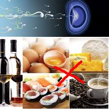 Ivf Diet List Of Foods To Eat What Foods To Avoid