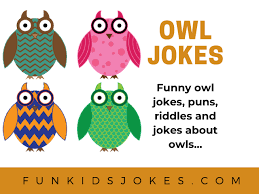 owl jokes clean owl jokes for kids