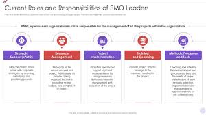 cur roles and pmo change management