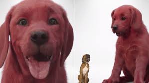 Clifford the big red dog will be theatrically released on september 17, 2021 by paramount pictures. Twitter Cowers In Fear Before Live Action Clifford The Big Red Dog Know Your Meme