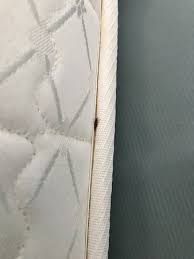 Bed Bug Hiding In The Mattress