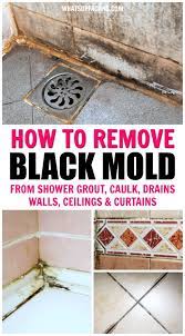 how to get rid of black mold anywhere