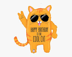 cool cat birthday hd png