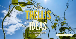 7 garden trellis ideas for a bountiful