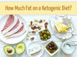 how much fat on a ketogenic t