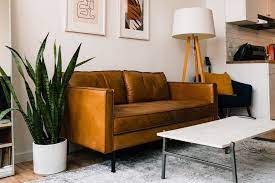plant decoration in living room spaces