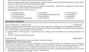 Profile For Resume Examples Simple Resume Format