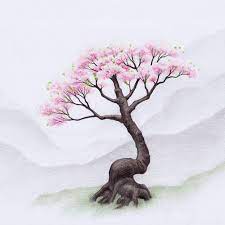 drawing a cherry blossom tree sakura