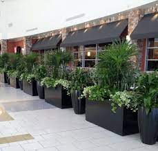 Restaurant Planters Patio Plants