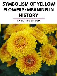 symbolism of yellow flowers meaning in