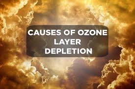 causes of ozone layer depletion human