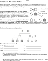 They can be interesting to view and can be important tools in determining patterns of inheritance of specific traits. Building A Pedigree Observe The Symbols And The Example Of The Pedigree Below Identical Twins Male Died In Infancy Female Died In Infancy Pdf Free Download