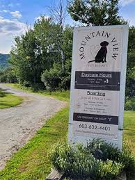 dog boarding and daycare facility upper