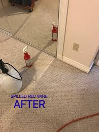 ferrantes carpet cleaning