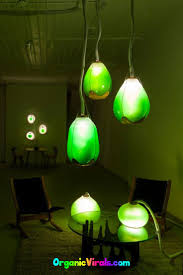 Awesome Living Algae Lamps Produce Food Heat And Light