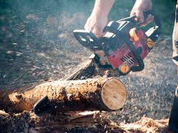 Find here firewoods, fire wood manufacturers, suppliers & exporters in india. Salmon Challis National Forest Offering Free Firewood Local News Postregister Com