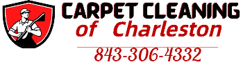 carpet cleaning of charleston south