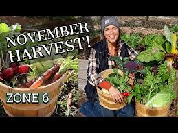 Late Fall Vegetable Garden Harvest