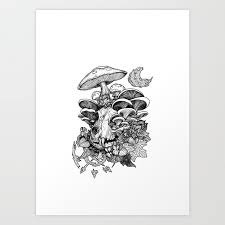 Cat Skull With Mushrooms Art Print By
