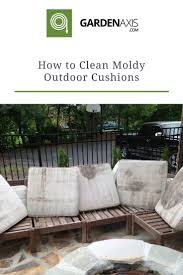 how to clean moldy outdoor cushions