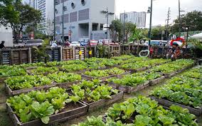 Urban Farm Opens In Bonifacio Global City