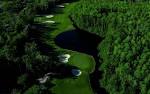 Ardea Country Club | Golf & Country Club | Tampa & Oldsmar, FL