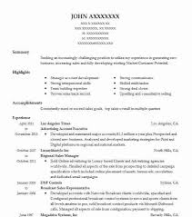 Advertising Account Executive Resume Sample Livecareer
