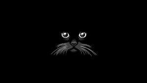 Download free wallpapers for your pc, phone and tablet. Hd Wallpaper Artistic Vector Black Cat Minimalist Wallpaper Flare