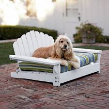 Outdoor Dog Furniture Ideas On Foter