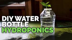 DIY Water Bottle Hydroponic System for Propagating and Herbs YouTube