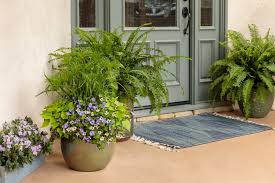 Decorate Your Front Porch With Plants