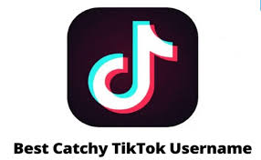 Now, let's see how you can capture the attention of the in case it's for your business, including the real brand name. Good Tiktok Usernames Best 100 Tiktok Names Brunchvirals