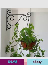They differ from flower boxes in their proportions, the. Plant Hangers Home Garden Hanging Plants Flower Pot Hanger Metal Plant Hangers