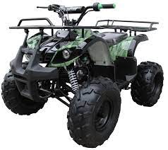 Maybe you would like to learn more about one of these? Coolster Atv 3125xr8 U Automatic Quad 4 Wheeler Ultimate Utility 125cc Atv Free Shipping In Usa Belmonte Bikes