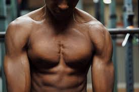 bodybuilding workout plan upper body
