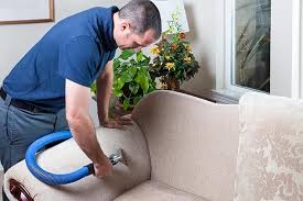 carpet cleaning cary local carpet