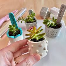 Polymer Clay Mini Planters And Herb