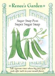 Plant the seeds 1 to 1½. Super Sugar Snap Sugar Snap Peas Renee S Garden Seeds