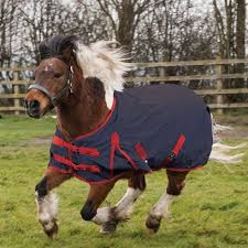 horse rugs fleeces and coolers sports