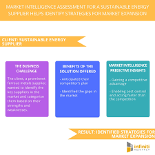 A Sustainable Energy Supplier Identified Strategies For