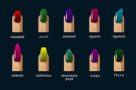 nail shape vector images over 4 900