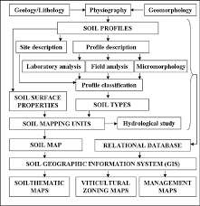 Flow Chart Of The Vineyard Soil Mapping Methodology Ubalde