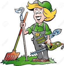 Vector Cartoon illustration of a Handy Gardener Woman standing with he Garden Tools Illustration , #Affiliate, #Handy… | Cartoon illustration, Cartoon, Illustration