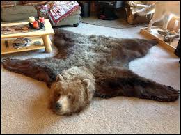 closed or open mouth on bear rug pics