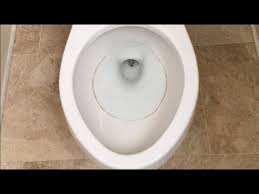 Recurring Toilet Ring Top 3 Solutions